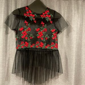 Gorgeous Tulle Embroidered High Low Top